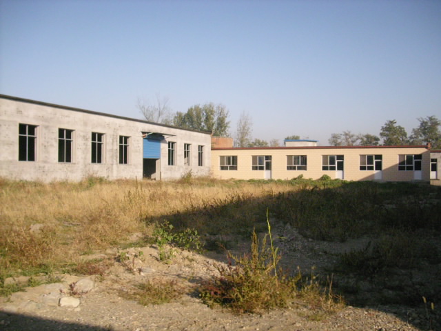 ��ƽ����������������ѧ��һ������Ŷ�Ժ����