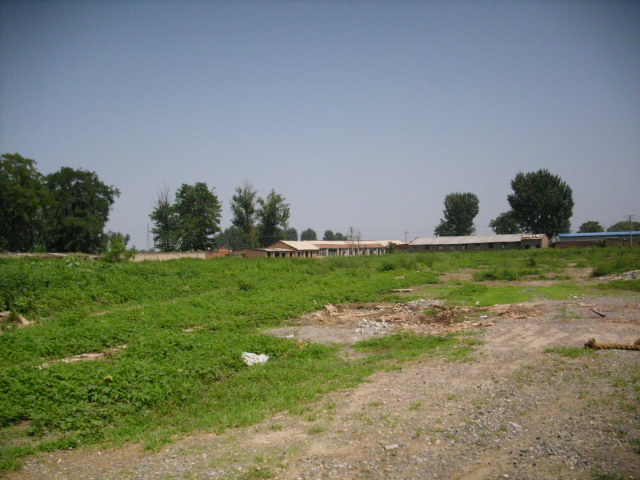 ͨ����ׯʮ��Ķ���س��� 